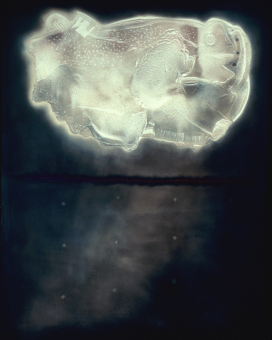 Fish: Oil and acrylic on canvas 70